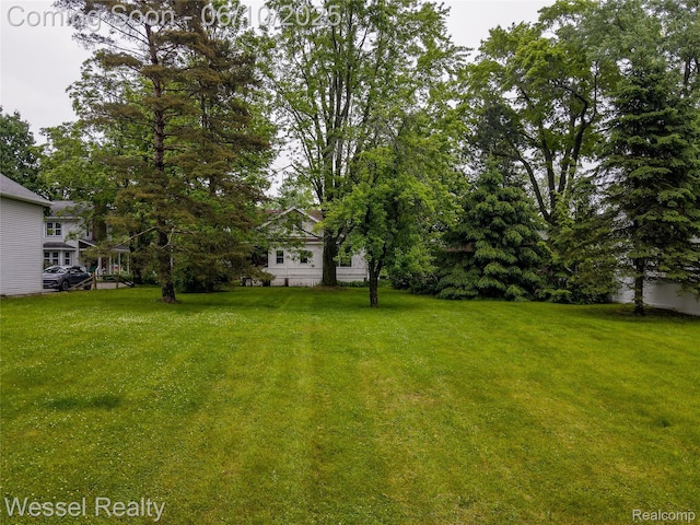 337 Chandler St, Romeo, MI 48065 - view of green lawn
