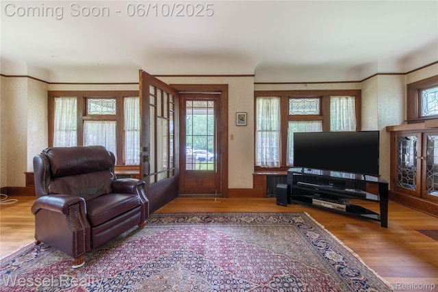 337 Chandler St, Romeo, MI 48065 - living room with healthy amount of natural light and wood finished floors
