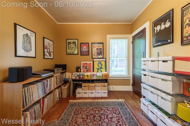337 Chandler St, Romeo, MI 48065 - home office featuring wood finished floors, ornamental molding, and baseboards