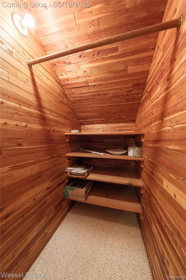 337 Chandler St, Romeo, MI 48065 - storage area featuring a sauna / steam room