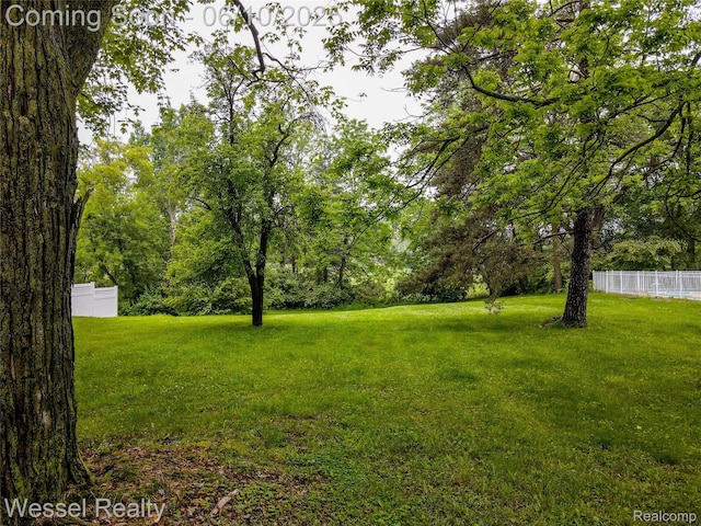 337 Chandler St, Romeo, MI 48065 - view of yard