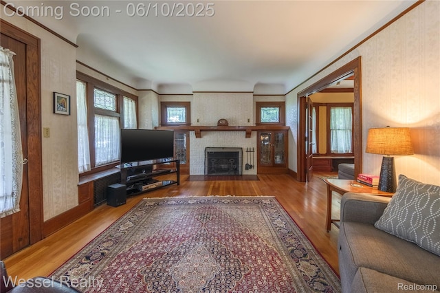 337 Chandler St, Romeo, MI 48065 - living area with wood finished floors, a fireplace, and baseboards