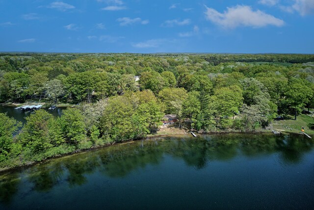 15065 Becker Dr, Mecosta, MI 49332 - aerial view of property and surrounding area with a heavily wooded area and a nearby body of water