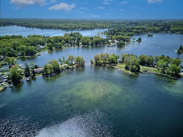 15065 Becker Dr, Mecosta, MI 49332 - bird's eye view of a large body of water and a heavily wooded area