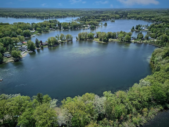 15065 Becker Dr, Mecosta, MI 49332 - drone / aerial view of a heavily wooded area and a large body of water