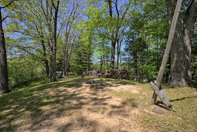 15065 Becker Dr, Mecosta, MI 49332 - view of yard