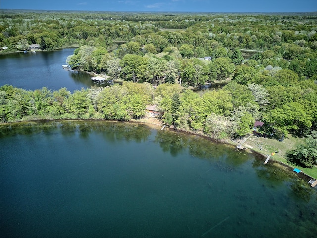 15065 Becker Dr, Mecosta, MI 49332 - aerial view of property and surrounding area featuring a forest and a nearby body of water