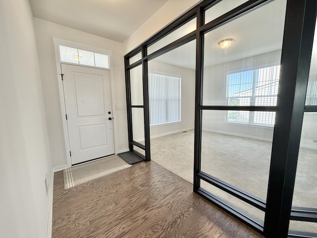 foyer entrance featuring wood finished floors, baseboards, and healthy amount of natural light
