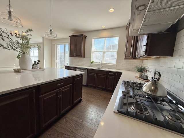 kitchen with appliances with stainless steel finishes, a sink, under cabinet range hood, dark wood finished floors, and light countertops