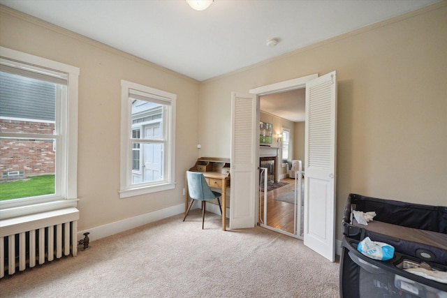office area with carpet, ornamental molding, radiator, and baseboards