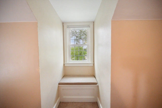 interior space with light carpet