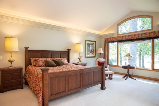 2865 Vw Ave E, Vicksburg, MI 49097 - bedroom with light carpet, high vaulted ceiling, and baseboards