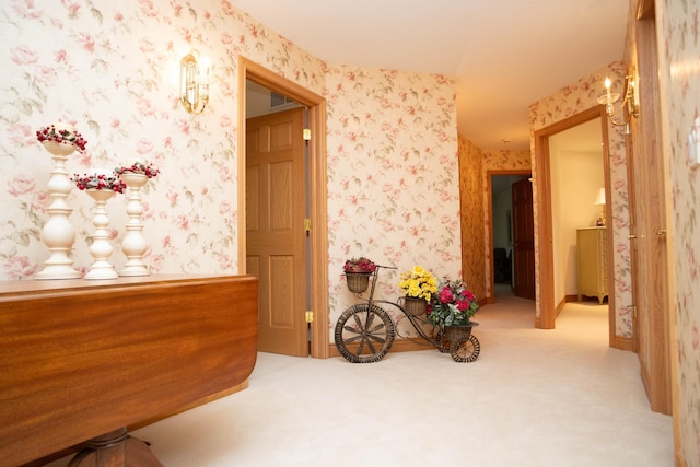 2865 Vw Ave E, Vicksburg, MI 49097 - corridor featuring wallpapered walls and carpet