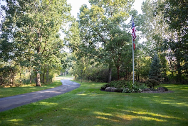 2865 Vw Ave E, Vicksburg, MI 49097 - view of street