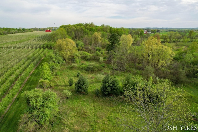 aerial view of sparsely populated area