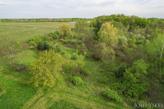 view of nature