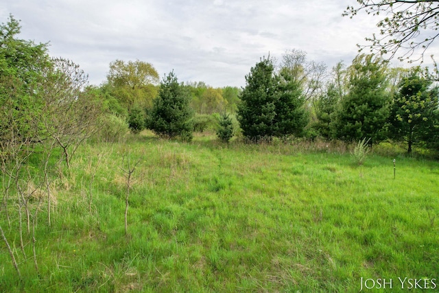 view of undeveloped land