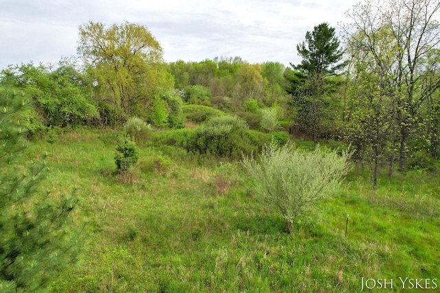 view of nature