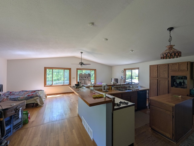 kitchen featuring lofted ceiling, a sink, light wood-style flooring, open floor plan, and a ceiling fan