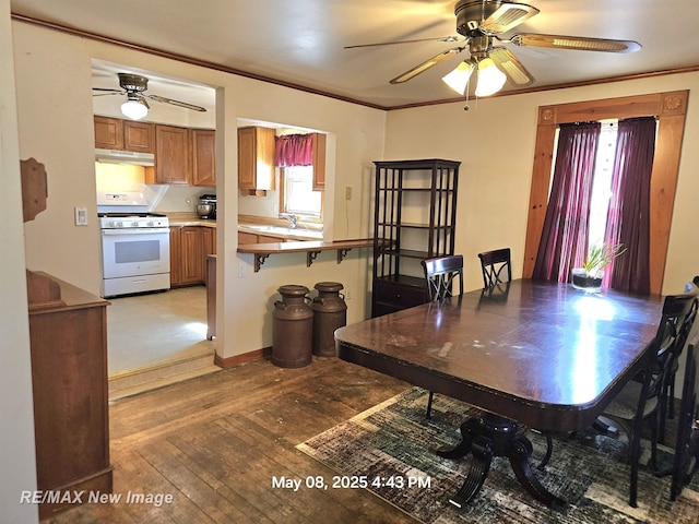 1551 Division St, Saginaw, MI 48602 - dining space featuring ceiling fan, light wood-style flooring, and crown molding