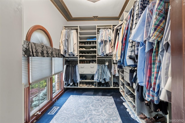 7310 Sandy Creek Ln, Bloomfield Hills, MI 48301 - walk in closet with carpet floors