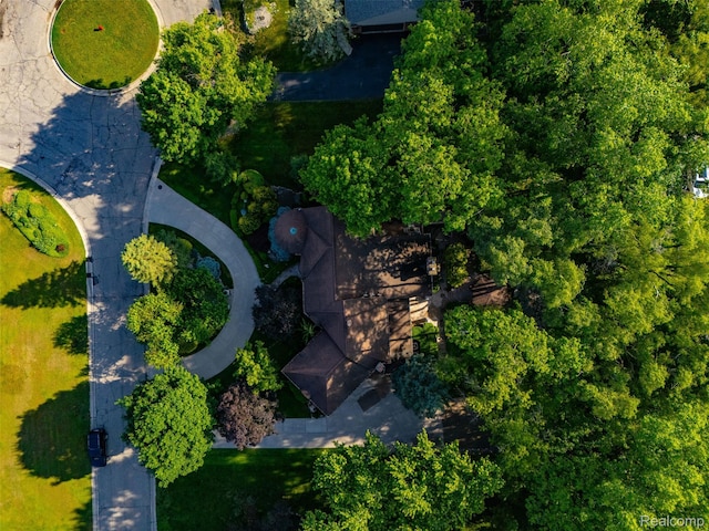 7310 Sandy Creek Ln, Bloomfield Hills, MI 48301 - bird's eye view