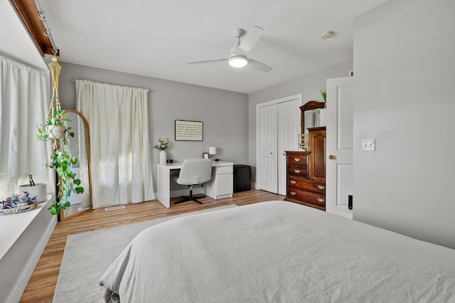 15974 Rustic Ln S, Vicksburg, MI 49097 - bedroom with wood finished floors, a ceiling fan, and a closet