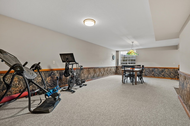 15974 Rustic Ln S, Vicksburg, MI 49097 - workout area featuring a wainscoted wall and carpet floors