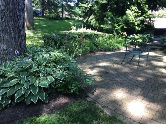 view of community with a patio area