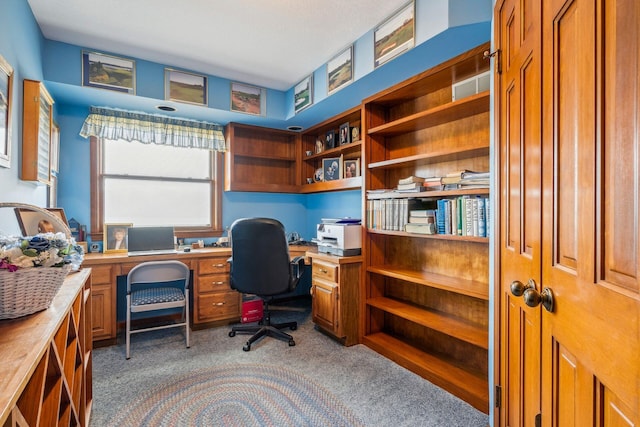 6125 Alber Rd, Saline, MI 48176 - home office with carpet floors and built in desk