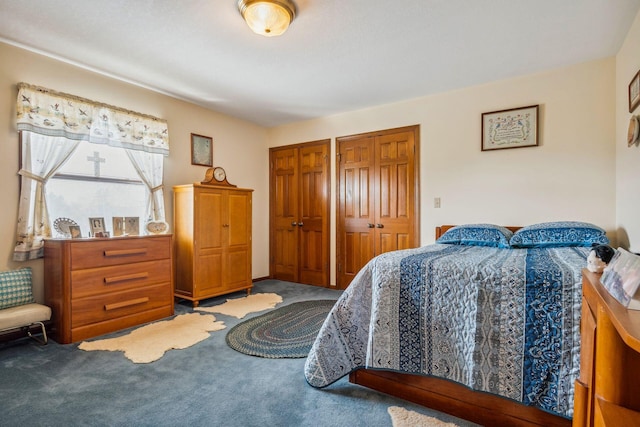 6125 Alber Rd, Saline, MI 48176 - bedroom with carpet and multiple closets