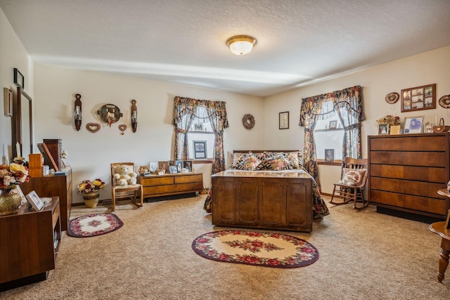 6125 Alber Rd, Saline, MI 48176 - view of carpeted bedroom