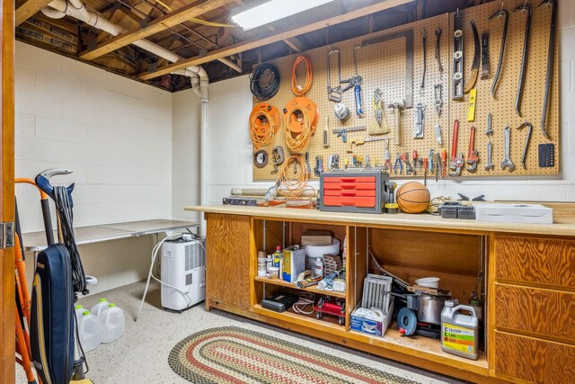 6125 Alber Rd, Saline, MI 48176 - miscellaneous room with a workshop area and concrete block wall