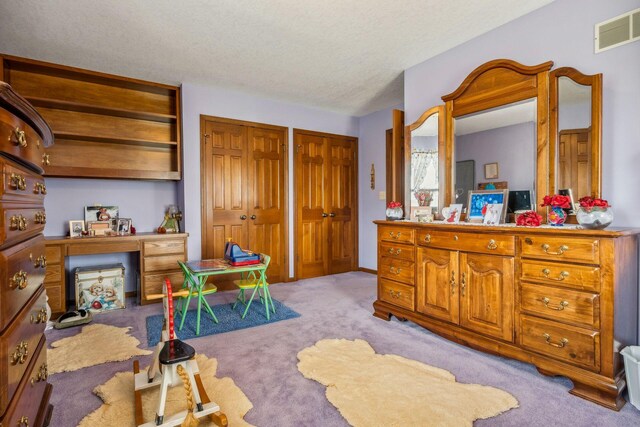 6125 Alber Rd, Saline, MI 48176 - carpeted bedroom featuring two closets and a textured ceiling