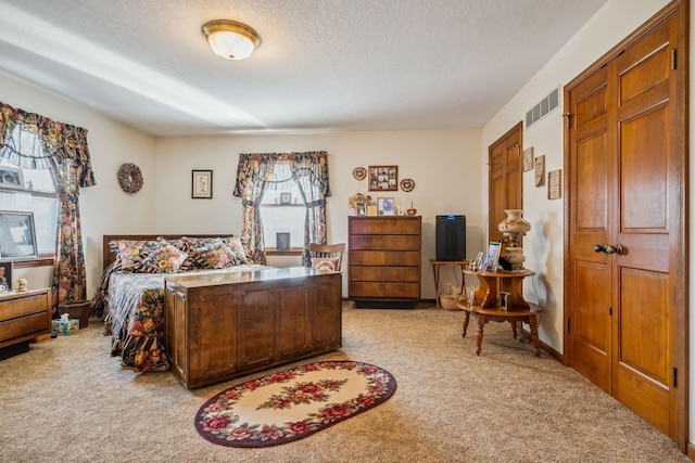 6125 Alber Rd, Saline, MI 48176 - bedroom featuring light carpet, multiple windows, and a textured ceiling