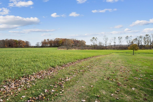 6125 Alber Rd, Saline, MI 48176 - view of green lawn with a view of rural / pastoral area