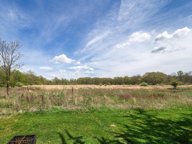 10671 California Rd, Bridgman, MI 49106 - view of local wilderness with rural landscape