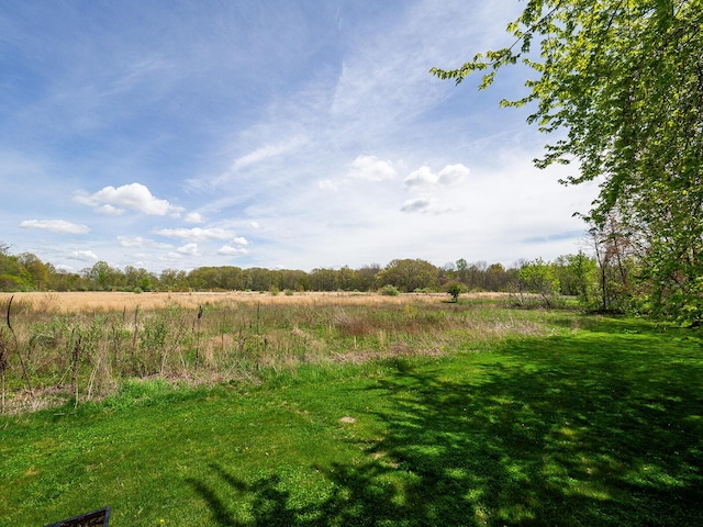 10671 California Rd, Bridgman, MI 49106 - view of yard with a rural view