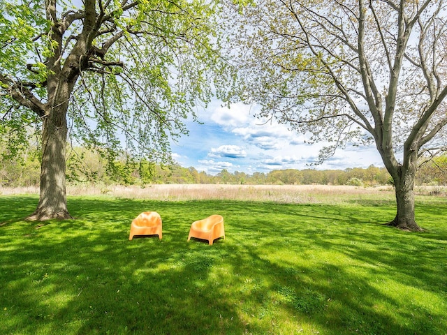 10671 California Rd, Bridgman, MI 49106 - view of property's community with a lawn