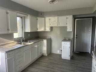 kitchen featuring white cabinets, wood finished floors, and a sink