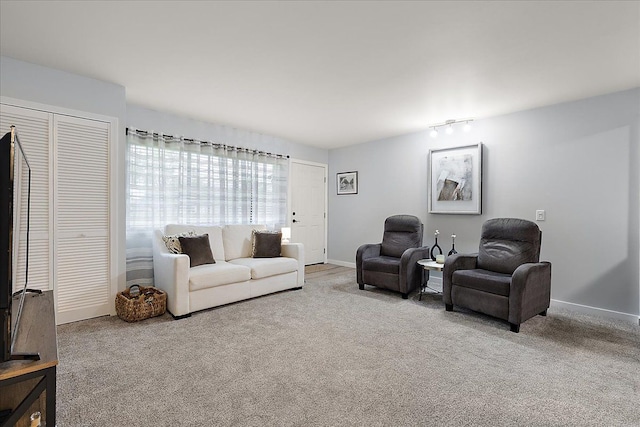 16046 Holz Dr Unit 48, Southgate, MI 48195 - living room featuring carpet floors, baseboards, and track lighting
