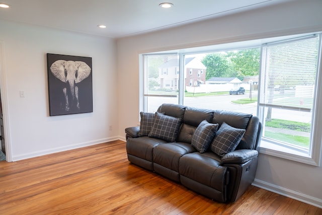 13185 Sycamore St, Southgate, MI 48195 - living room featuring plenty of natural light, light wood-type flooring, baseboards, and recessed lighting