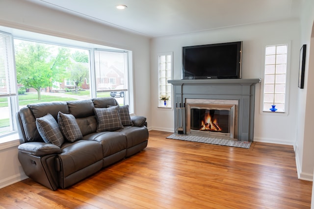 13185 Sycamore St, Southgate, MI 48195 - living area featuring light wood-style flooring, a glass covered fireplace, plenty of natural light, and baseboards