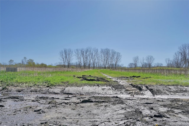 7376 Capac Rd, Yale, MI 48097 - view of yard with a rural view