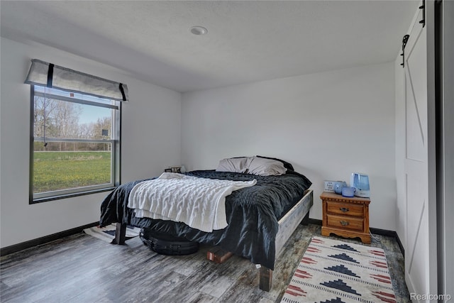 7376 Capac Rd, Yale, MI 48097 - bedroom with a barn door, wood finished floors, and baseboards