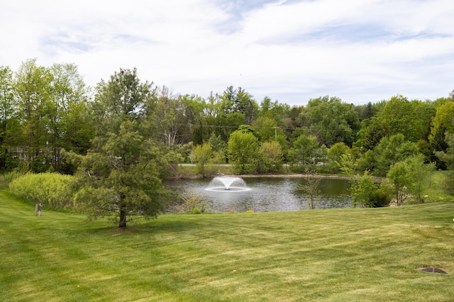 water view