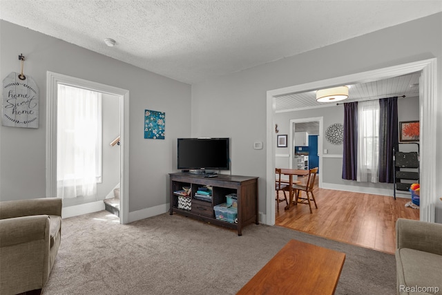 638 E Michigan Ave, Grass Lake, MI 49240 - carpeted living room featuring baseboards and a textured ceiling
