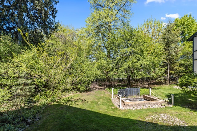 view of grassy yard with a garden