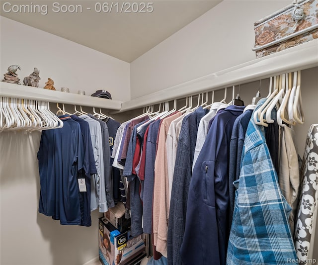 42736 Boulden Ct, Canton, MI 48187 - view of spacious closet