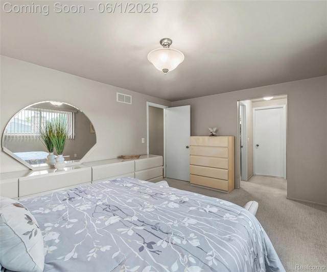 42736 Boulden Ct, Canton, MI 48187 - view of carpeted bedroom